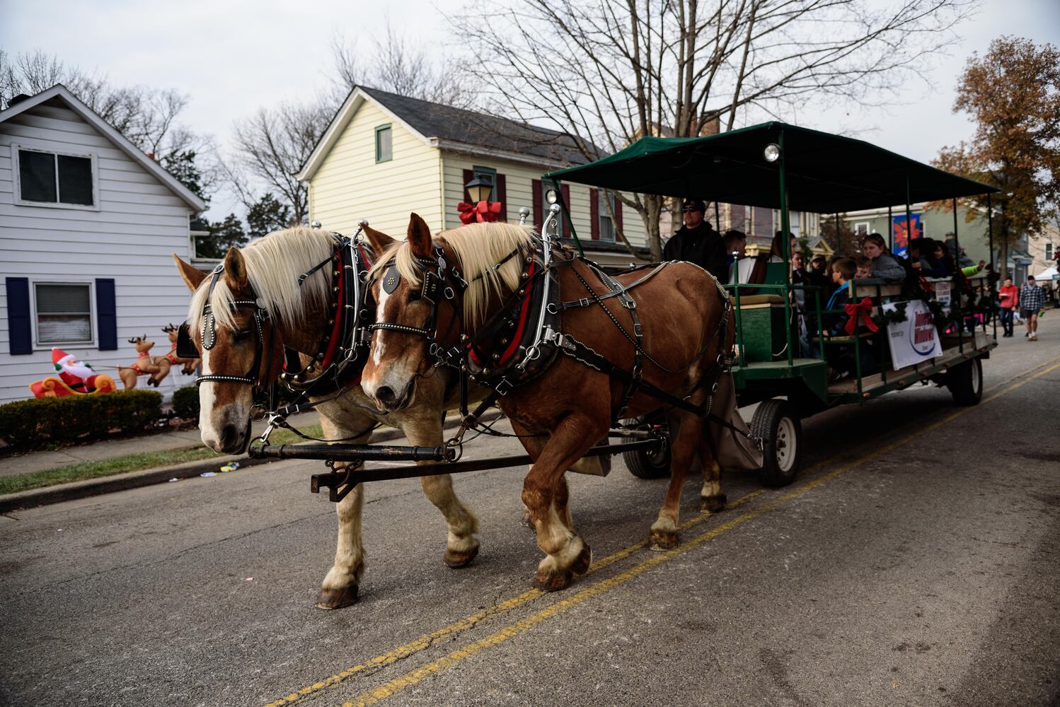 PHOTOS: Did we spot you at the Christmas in Historic Springboro Festival?