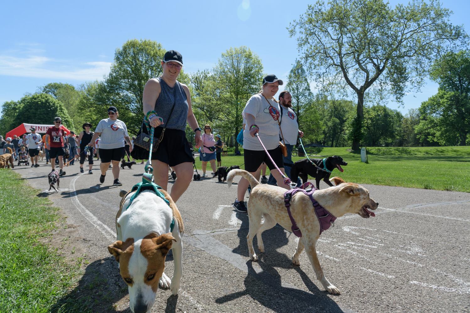PHOTOS: Did we spot you and your doggie during the Furry Skurry 5K & Furry Fest at Eastwood MetroPark?