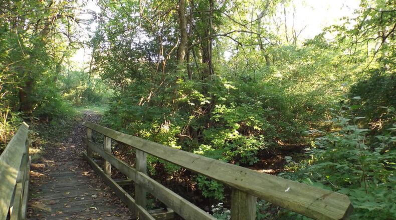 The Wild Yoga program will include a 2-mile hike as well as meditation and gentle yoga - Contributed