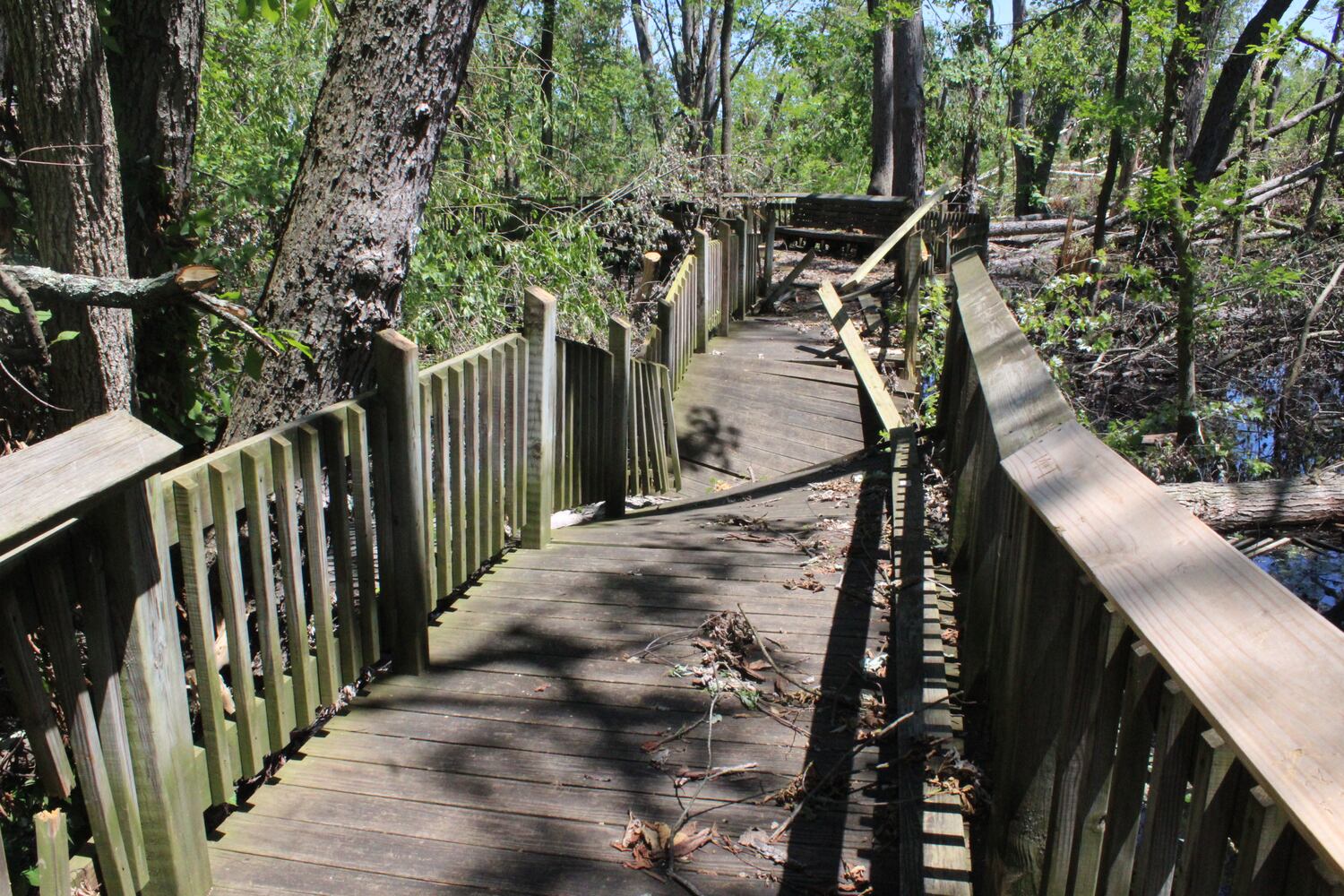 Photos: ‘extraordinary’ damage to parts of  Wegerzyn MetroPark, some parts mostly untouched