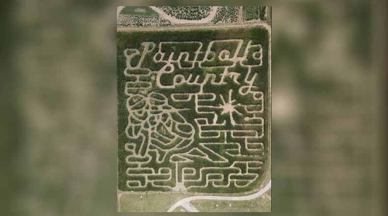 The popular Fall Festival at Niederman Family Farm has a new "Paintball Country" corn maze and more. The Fall Festival will run from Sept. 19 to Oct. 26. CONTRIBUTED