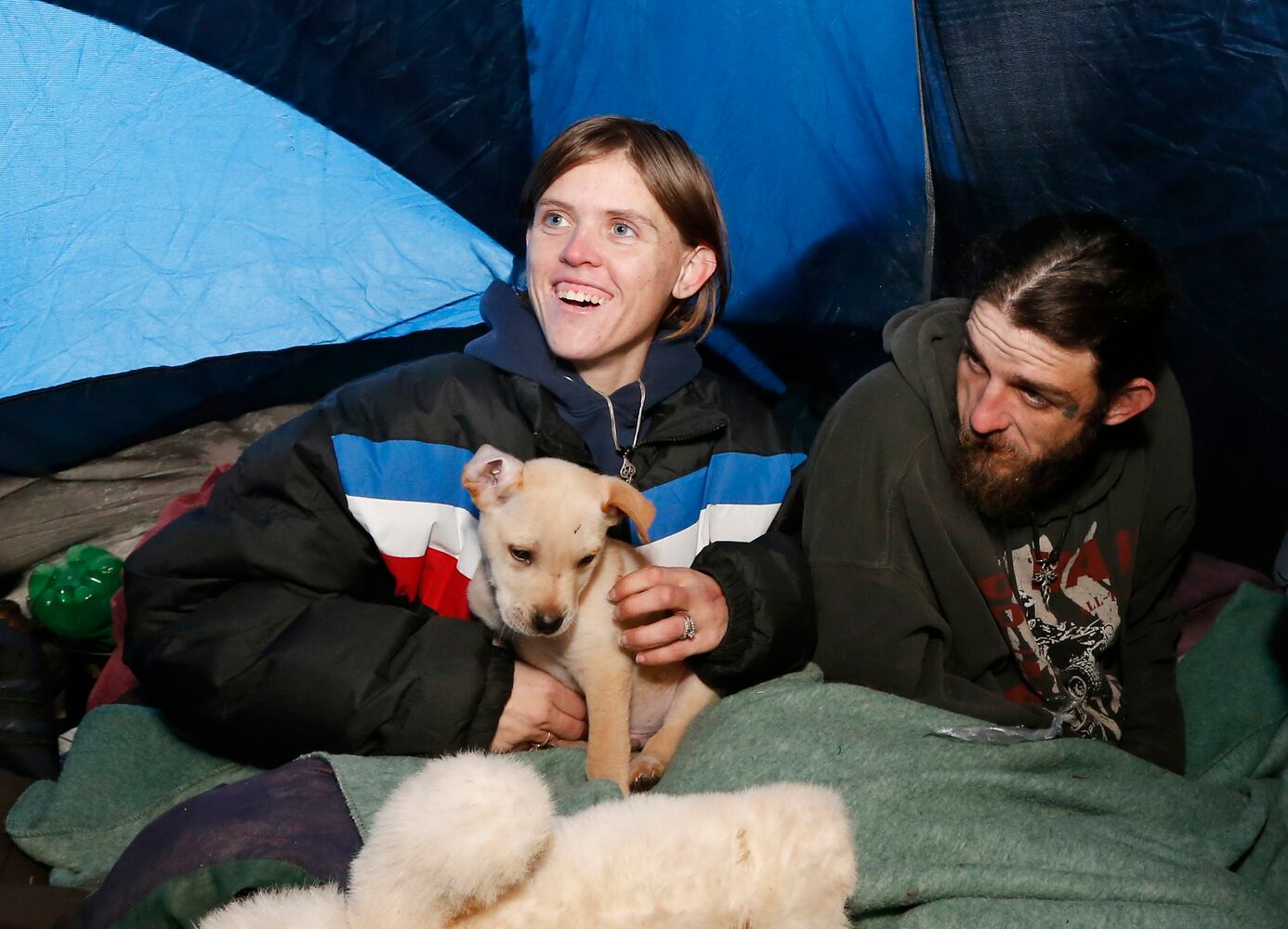 News hounds (12/12/2013)