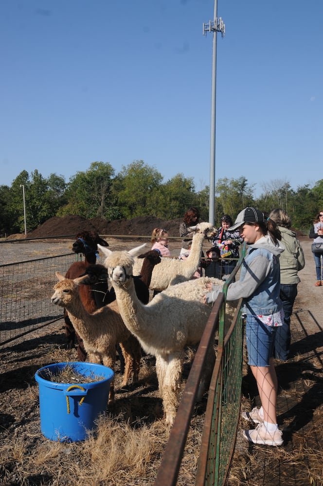PHOTOS: Did we spot you at Lebanon Country Applefest?