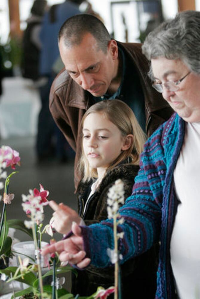 Spring Orchid Sale & Show