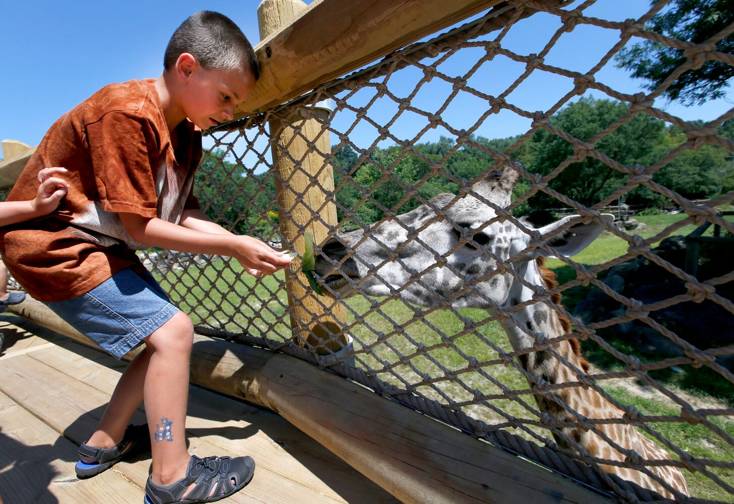 Photos: 25 awesome spots for summer fun in Ohio