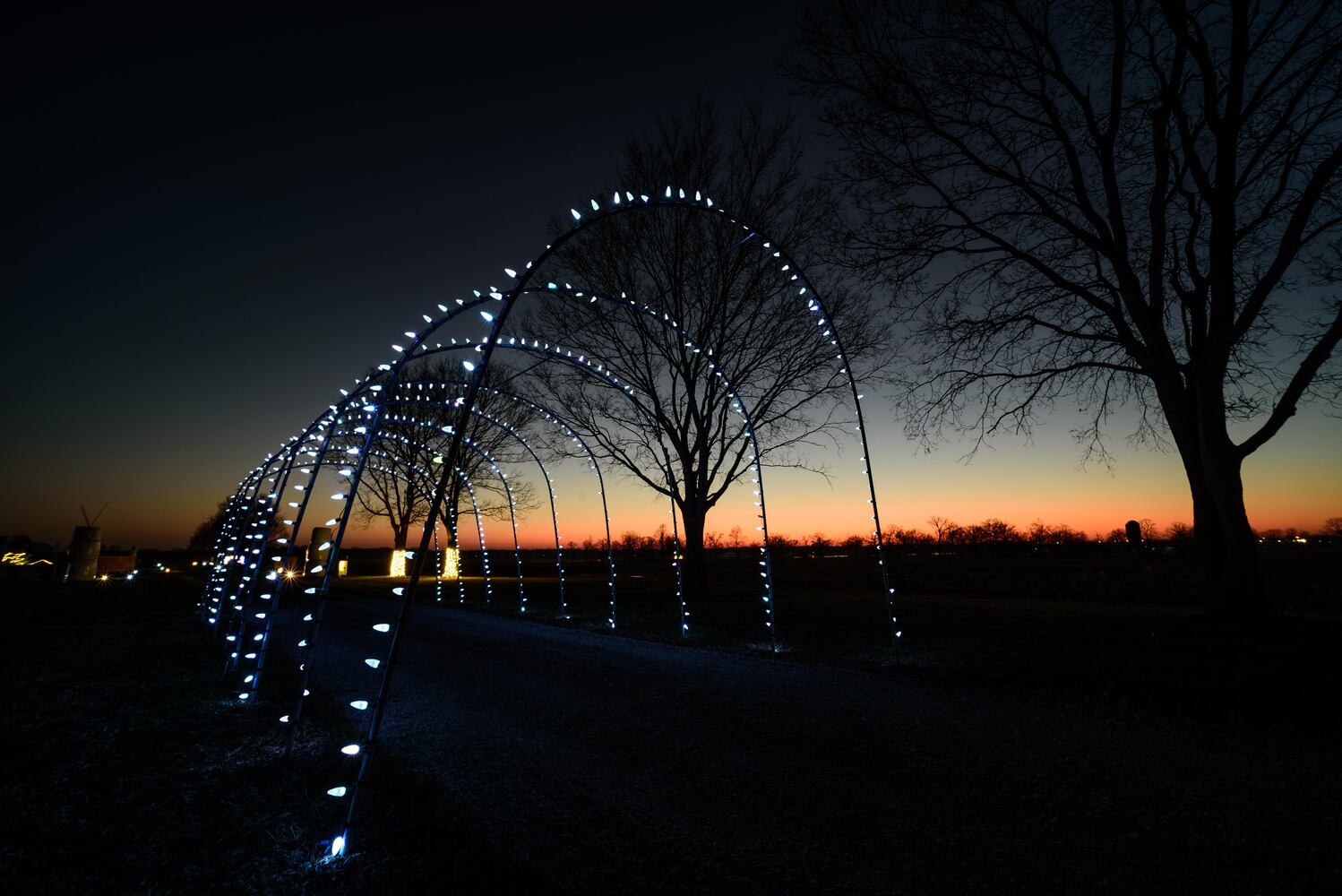 PHOTOS: Holiday Lights dazzle at Lost Creek Reserve in Troy