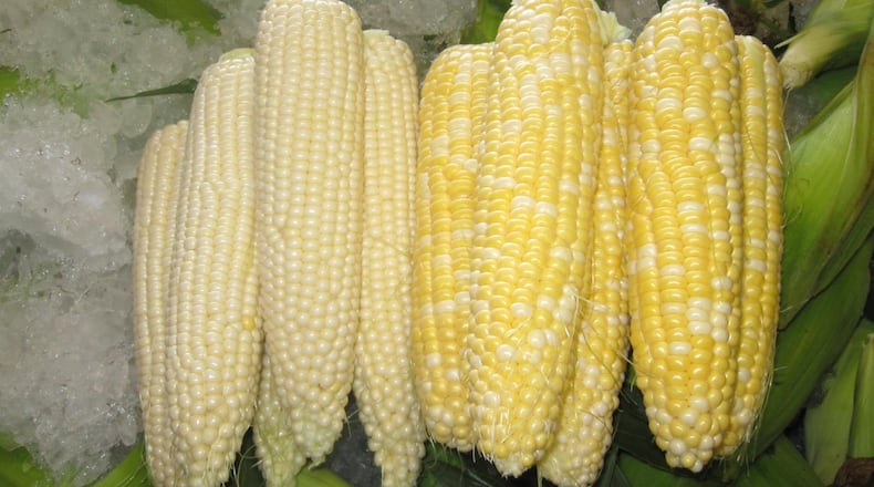 Sweet corn from Fulton Farms in Troy. (Source: Fulton Farms Facebook)