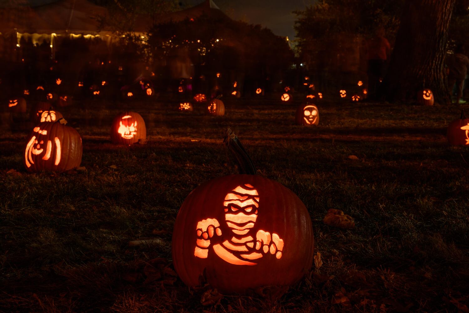 PHOTOS: The Stoddard Avenue Pumpkin Glow