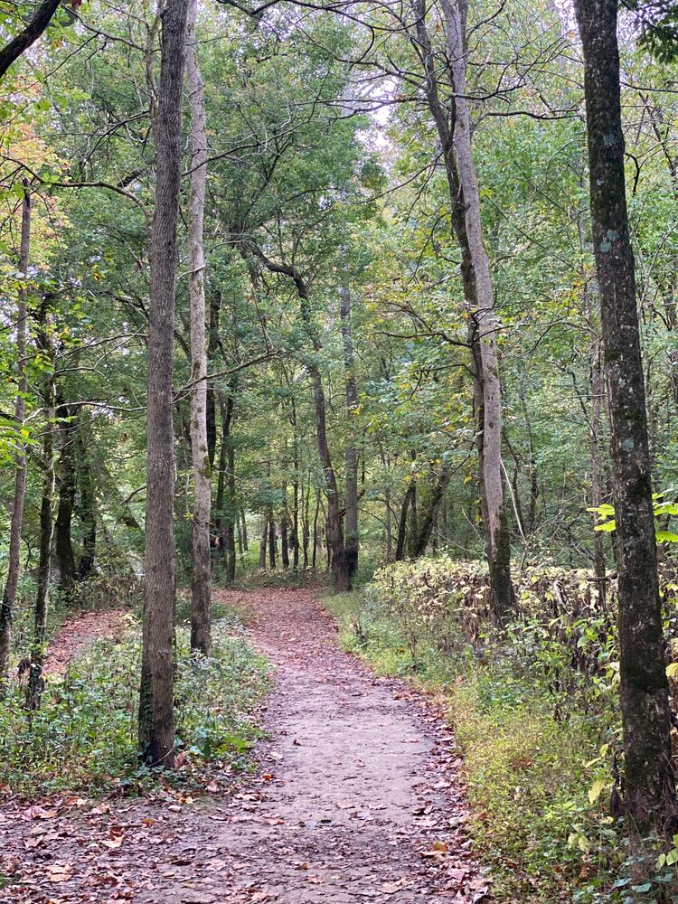 Narrows Reserve