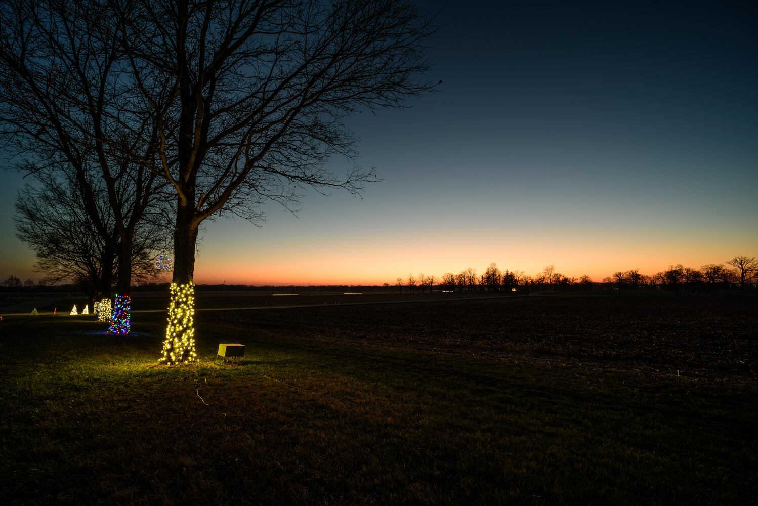 PHOTOS: Holiday Lights dazzle at Lost Creek Reserve in Troy