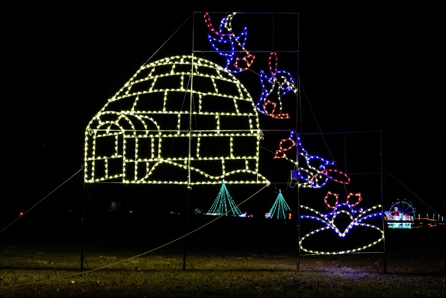 PHOTOS: ParkLights at Caesar Ford Park