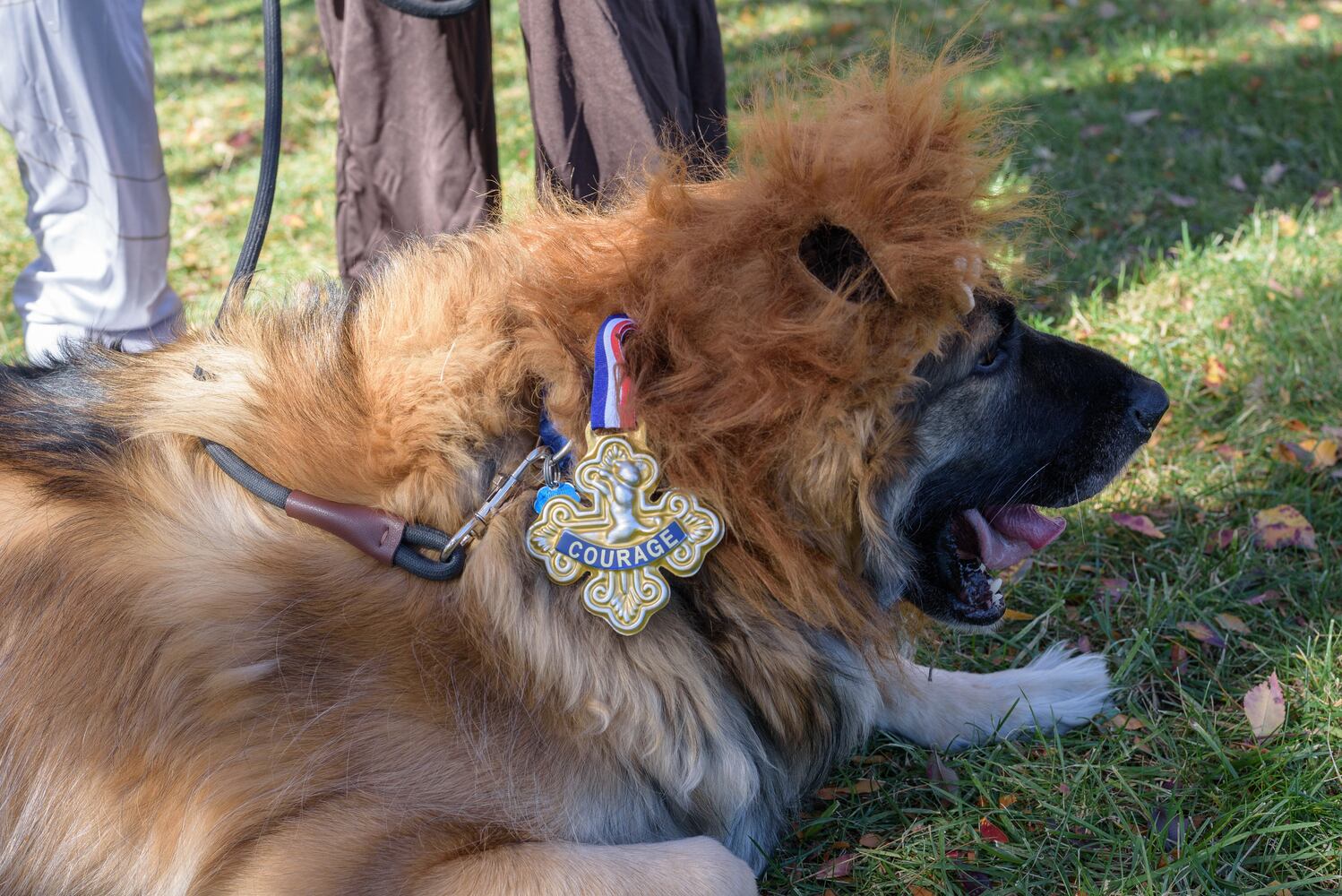 PHOTOS: Did we spot you and your dog at Wag-O-Ween at the Kettering Recreation Center?