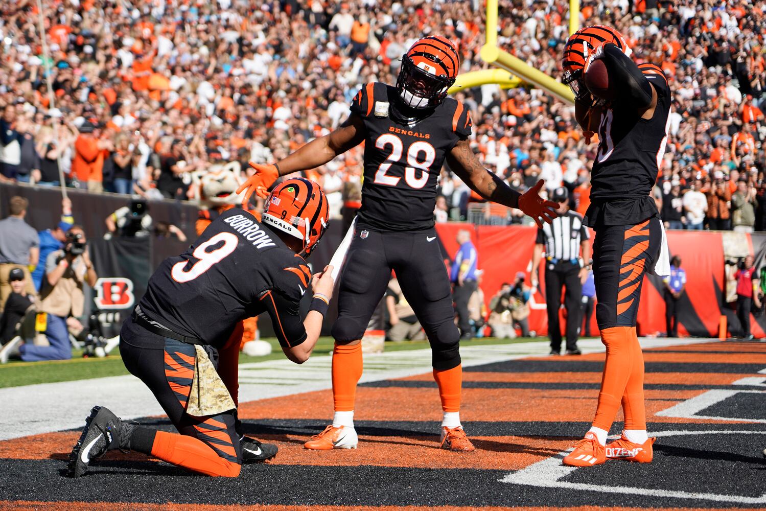 Panthers Bengals Football