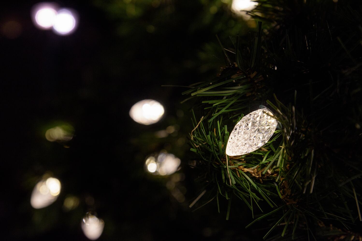 PHOTOS: Did we spot you at The Greene’s Christmas Tree Lighting and Santa Arrival Parade?