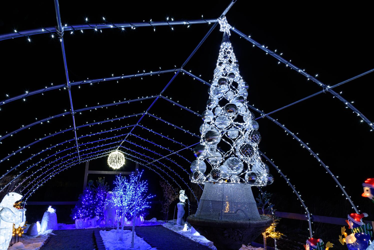 PHOTOS: Christmas Light Spectacular at Cedar Springs Pavilion