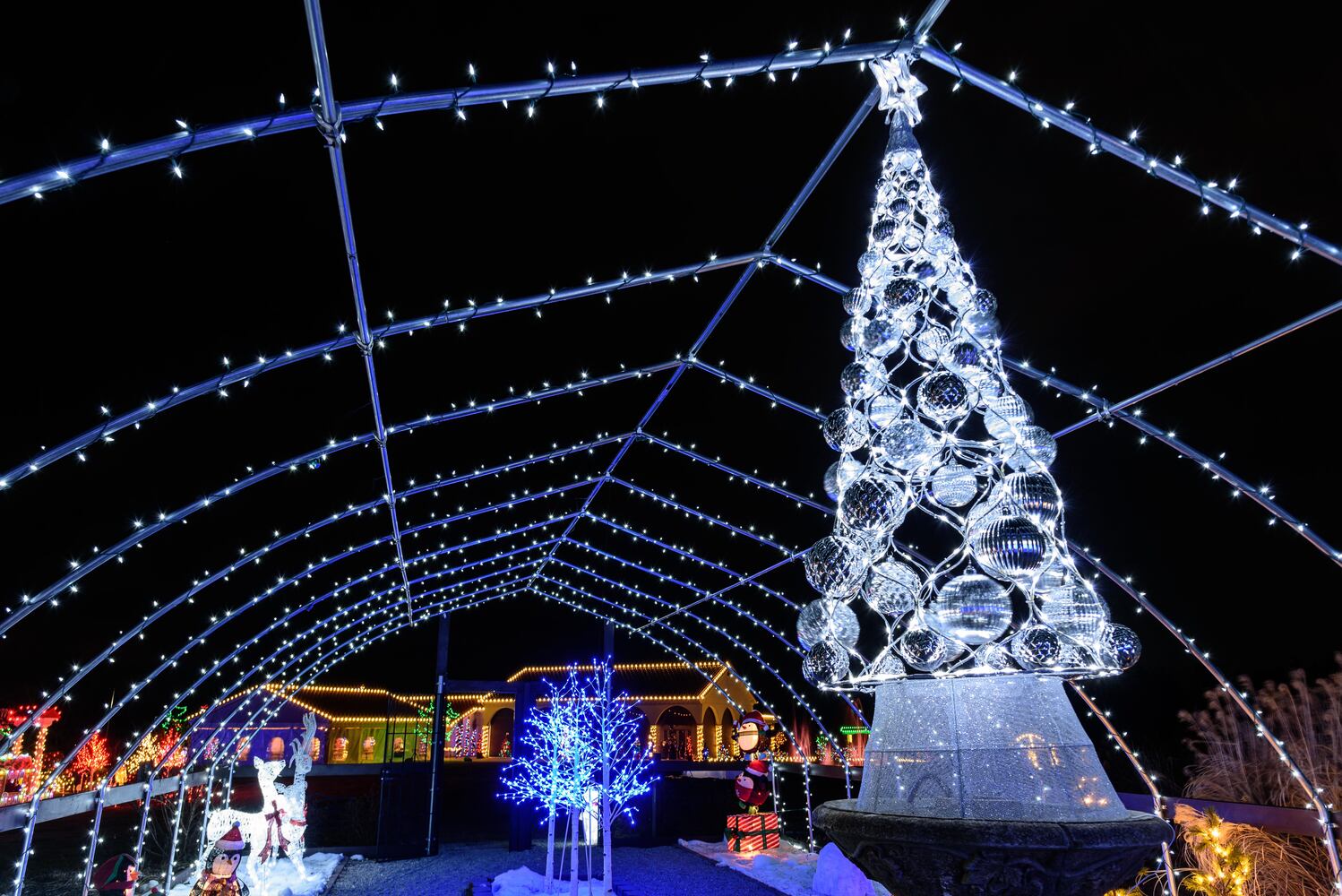 PHOTOS: Christmas Light Spectacular at Cedar Springs Pavilion