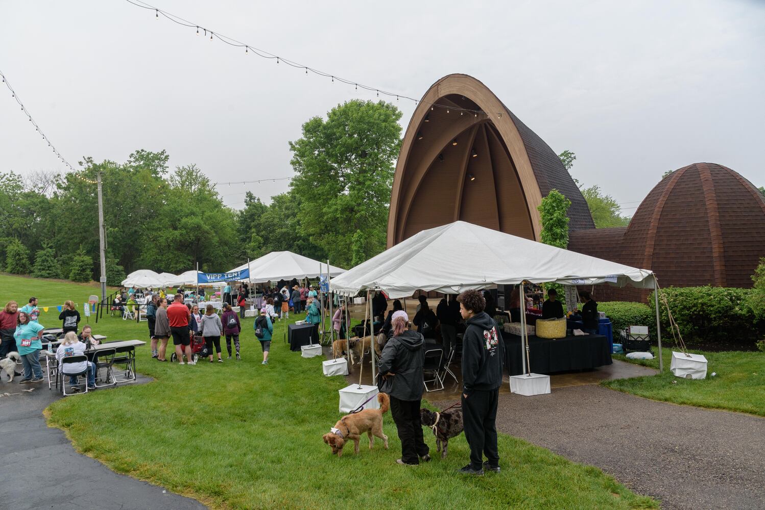 PHOTOS: Did we spot you at the Furry Skurry 5K at Stubbs Park in Centerville?