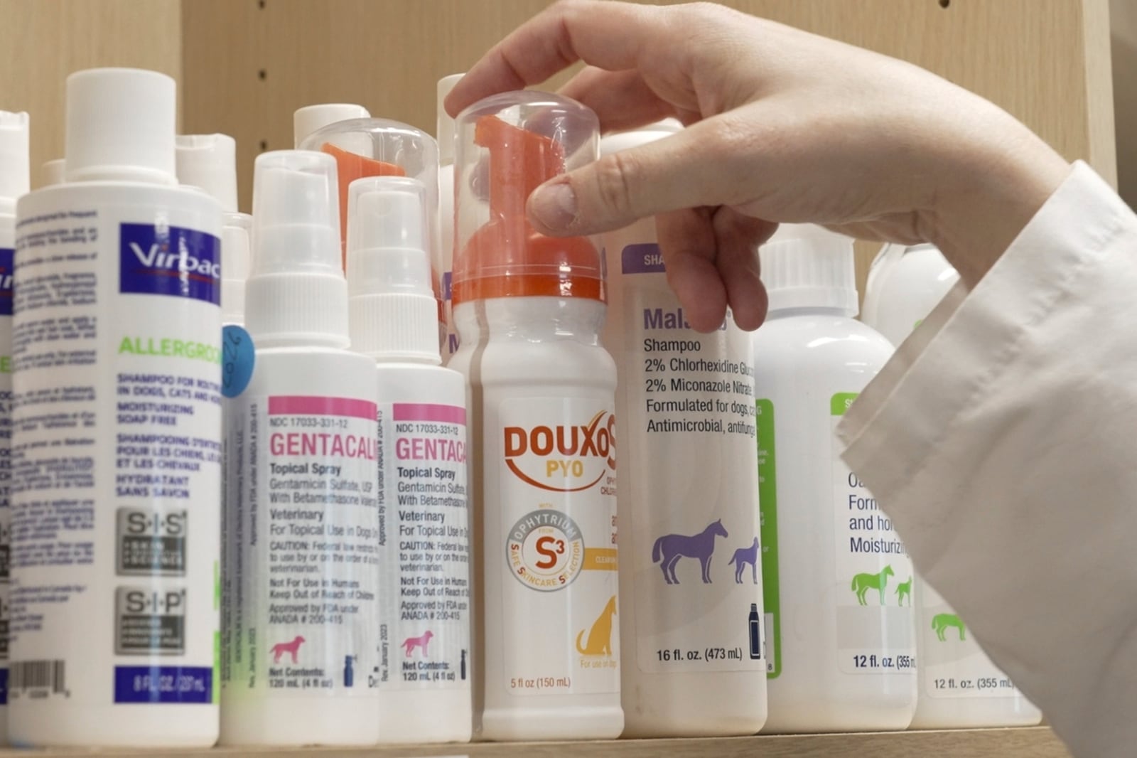 Various shampoos and cleansing products for treating allergies in pets sit on a shelf at Thrive Pet Healthcare in Elmhurst, Ill. on May 13, 2025. (AP Photo/Laura Bargfeld)