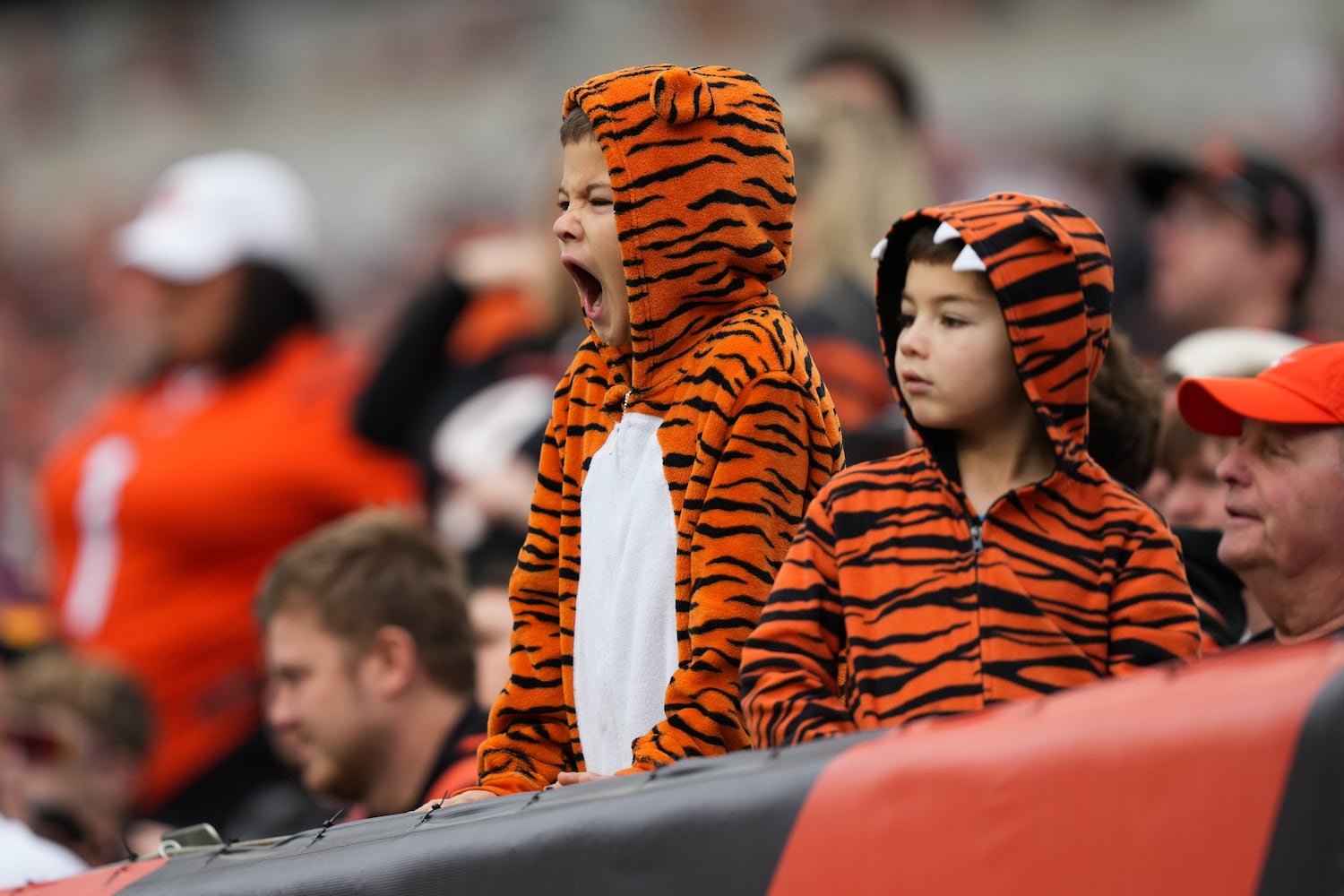 Cardinals Bengals Football