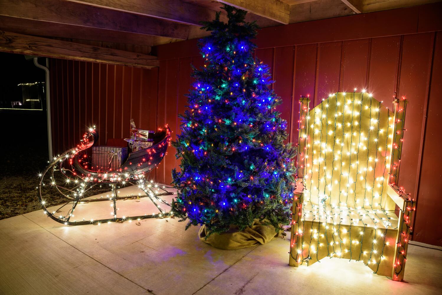 PHOTOS: Holiday Lights dazzle at Lost Creek Reserve in Troy