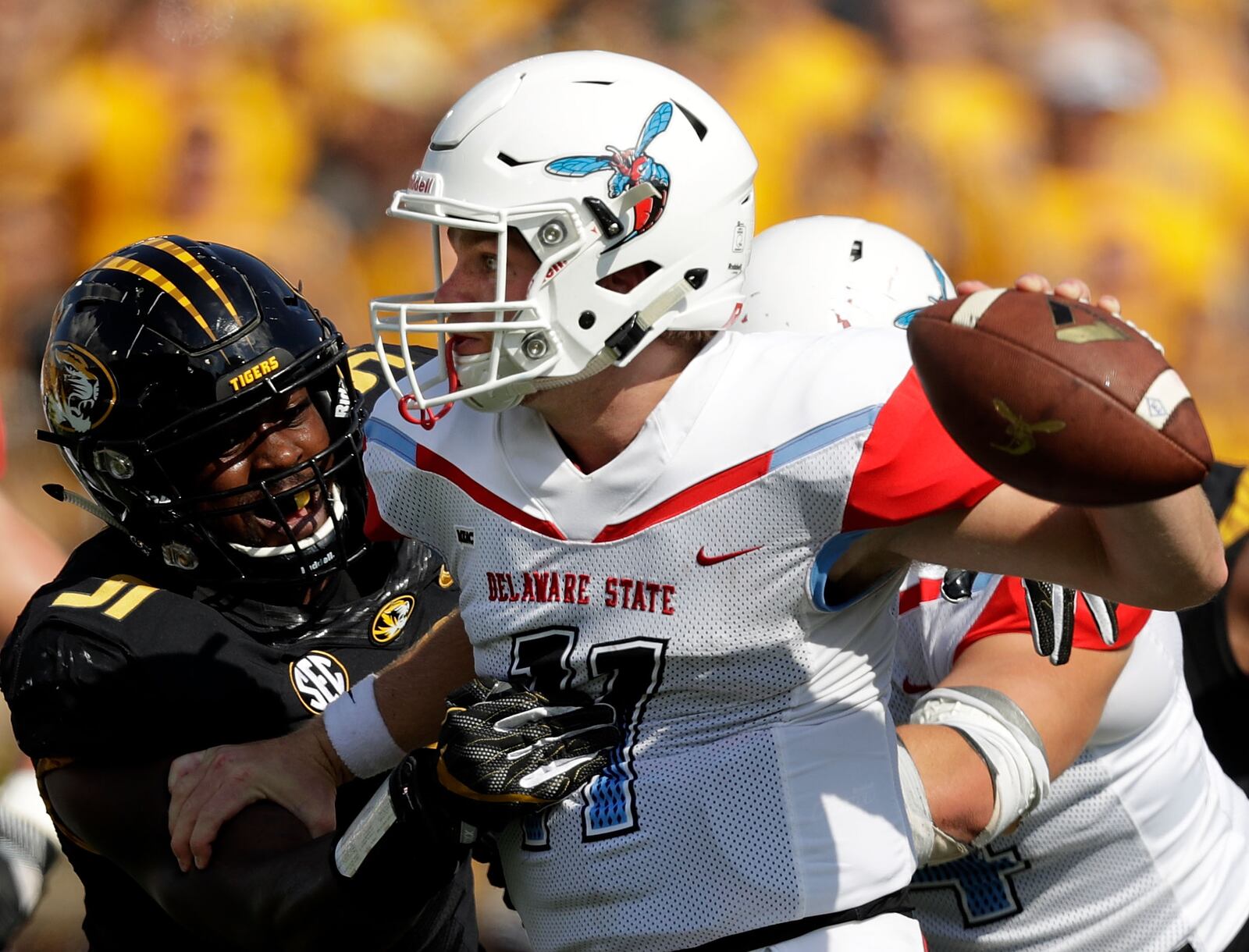 COLUMBIA, MO - SEPTEMBER 24: Quarterback Daniel Epperson #11 of the Delaware State Hornets is sacked by defensive end Charles Harris #91 of the Missouri Tigers during the game at Faurot Field/Memorial Stadium on September 24, 2016 in Columbia, Missouri. (Photo by Jamie Squire/Getty Images)