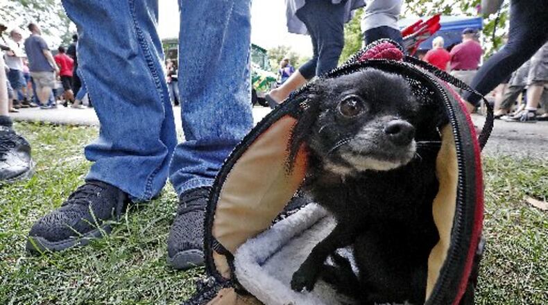 The city of Miamisburg plans to build a dog park, targeting its opening next spring. STAFF PHOTO