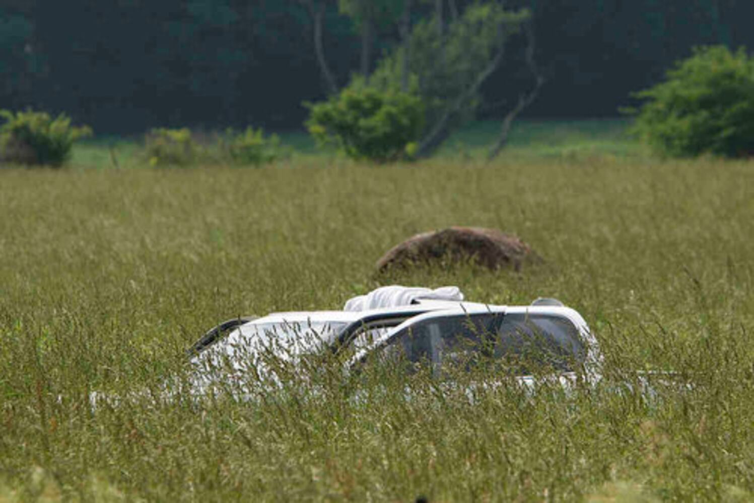 Centerville student killed in car crash