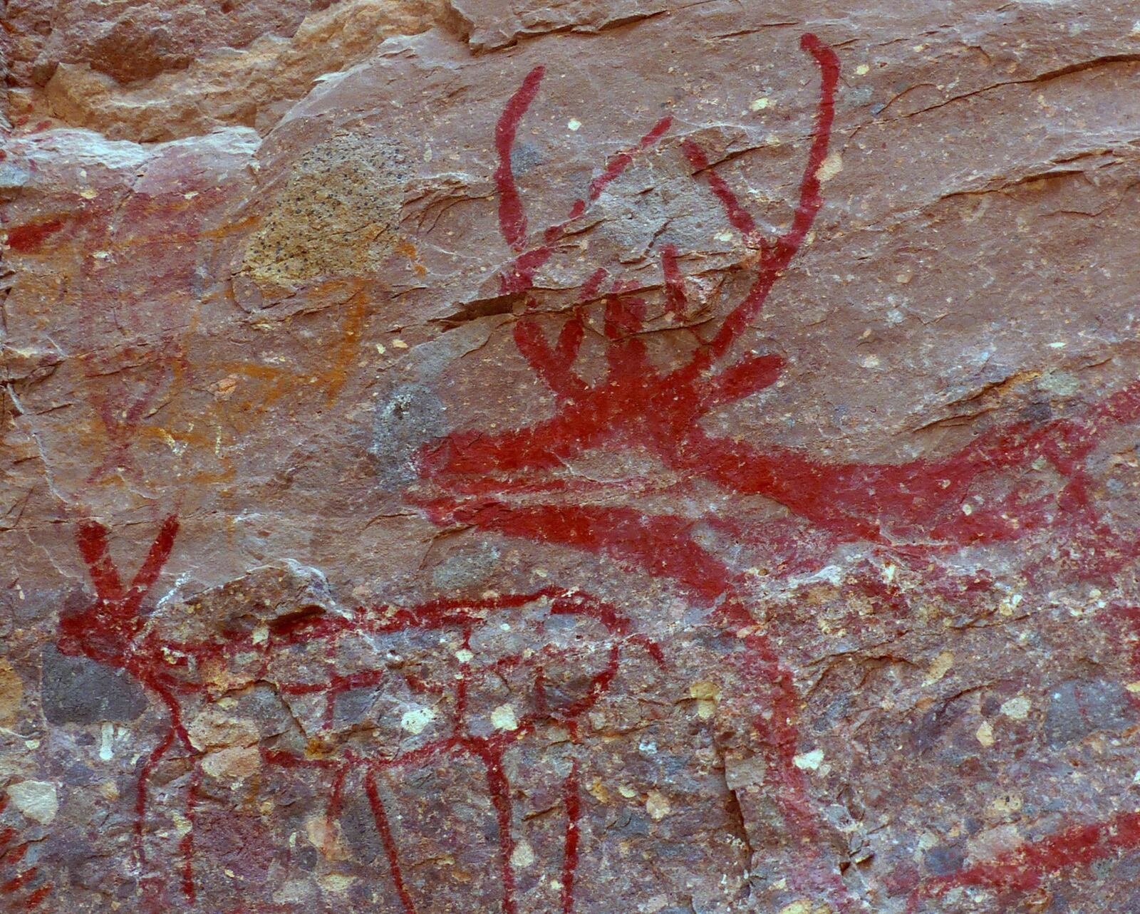 The "Trinidad Deer," known among experts as one of the best-drawn cave-painting deer in Baja California, at La Trinidad Cave. A fawn is at left and below. (Brian J. Cantwell/Seattle Times/TNS)