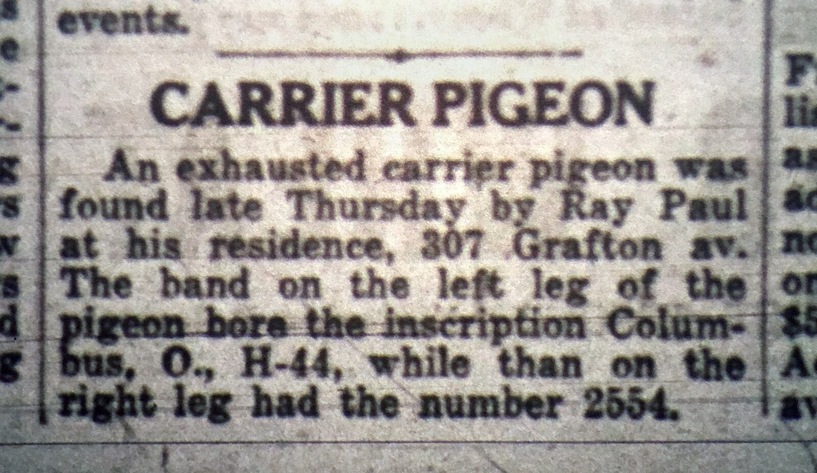 In 1933 âan exhausted carrier pigeonâ was found by Ray Paul outside of his home at 307 Grafton Ave. DAYTON DAILY NEWS ARCHIVE