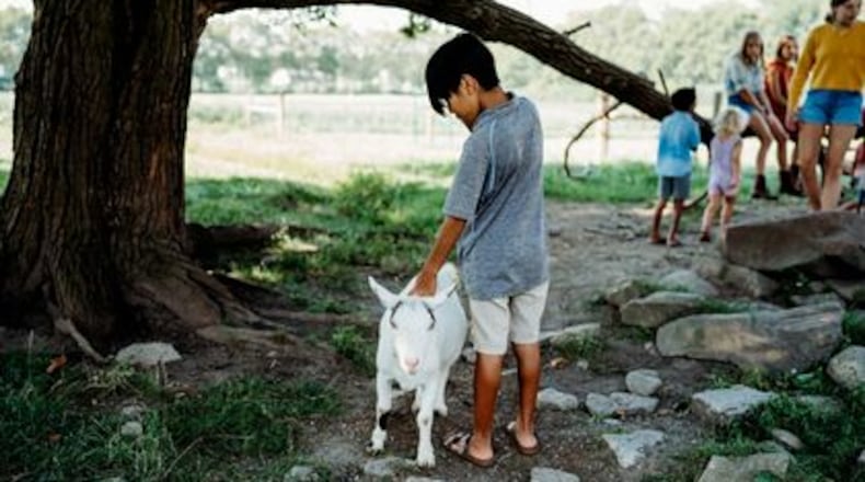 The Learning Tree Farm provides hands-on experiences that engage families in nature-based education in a farm setting. CONTRIBUTED