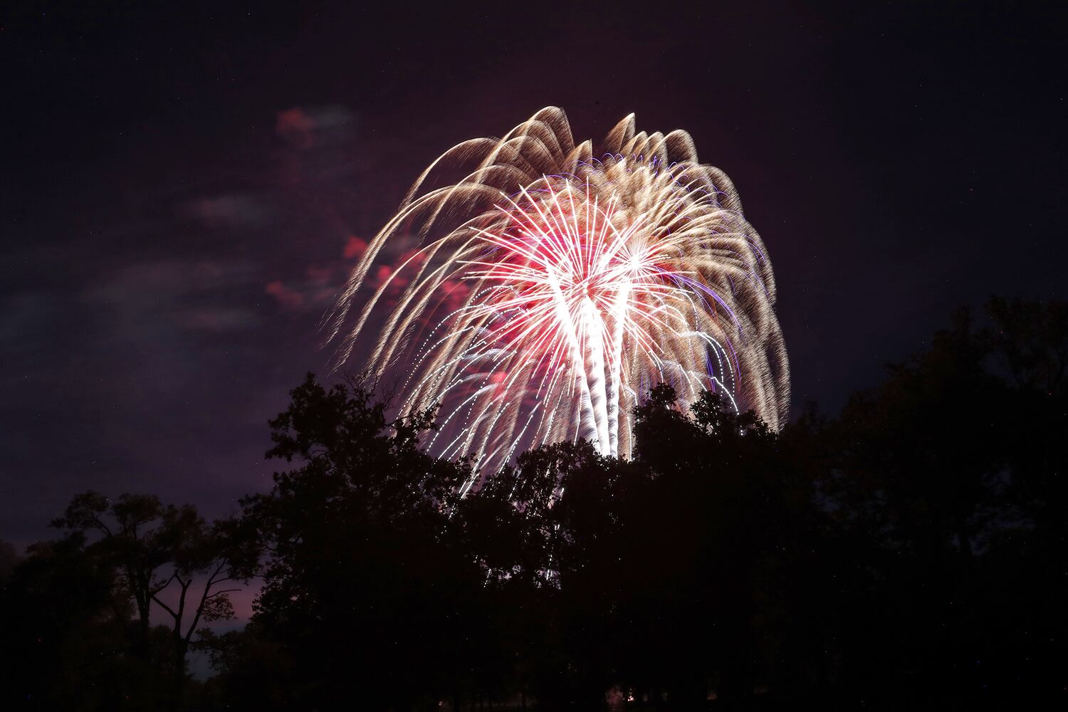 Springfield Fireworks SNS