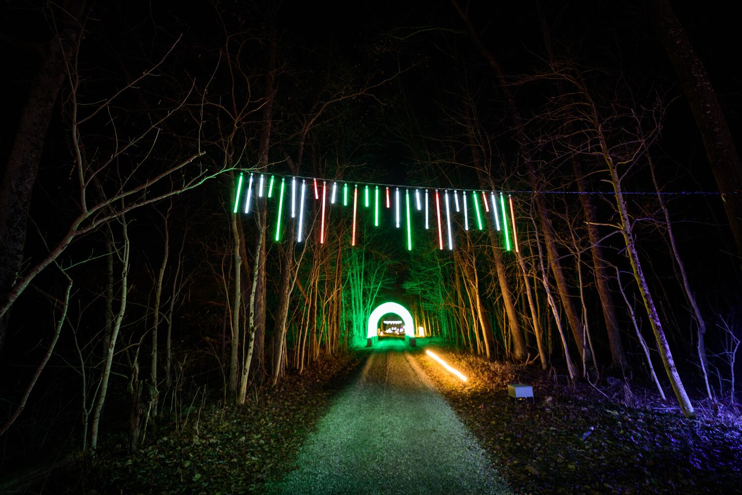 PHOTOS: Holiday Lights dazzle at Lost Creek Reserve in Troy