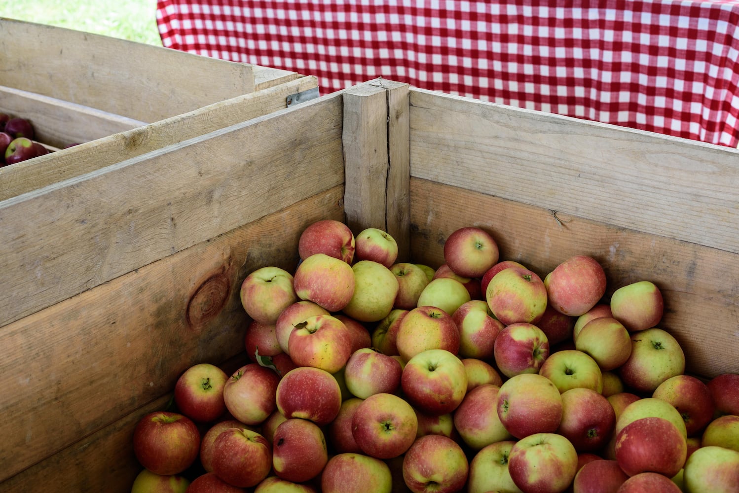 Hidden Valley Orchards