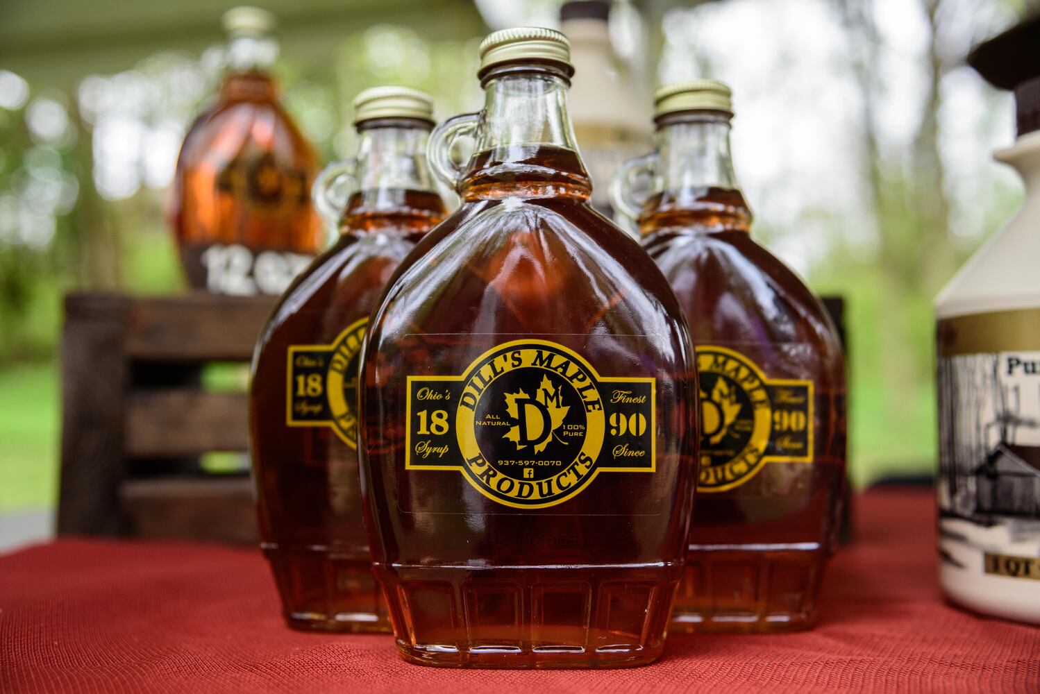 PHOTOS: Did we spot you having a sweet time at Sugar Maple Festival?