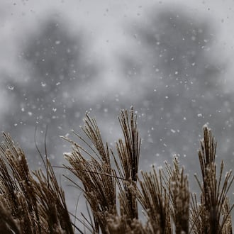The first snow of the season fell Saturday morning, Nov. 12, 2022 in Butler County. NICK GRAHAM/STAFF