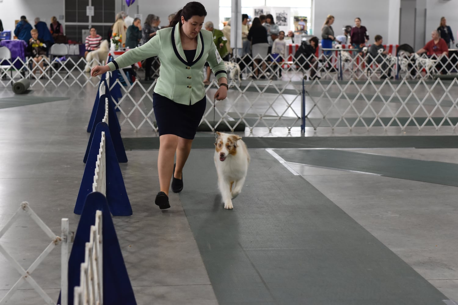 Fort St. Clair Kennel Club Dog Show