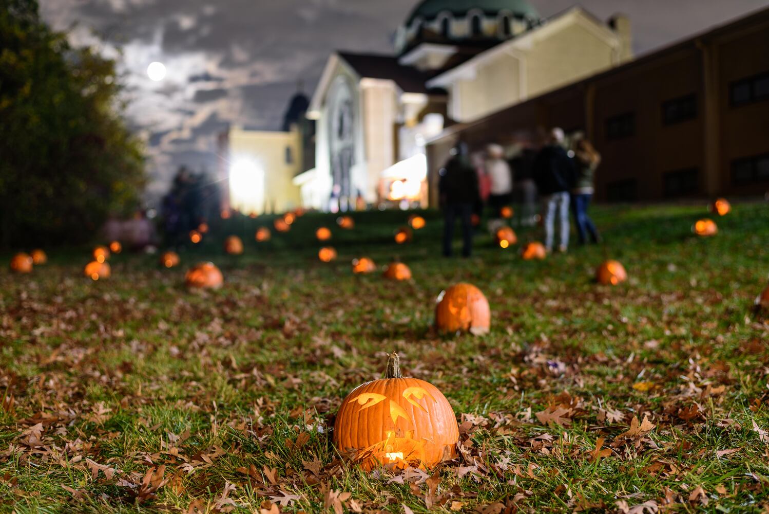 PHOTOS: The Stoddard Avenue Pumpkin Glow Night 1