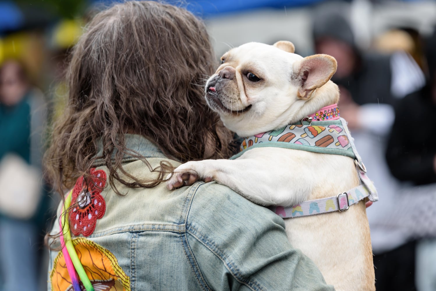 PHOTOS: 2025 Derby Day wiener dog races in the Oregon District