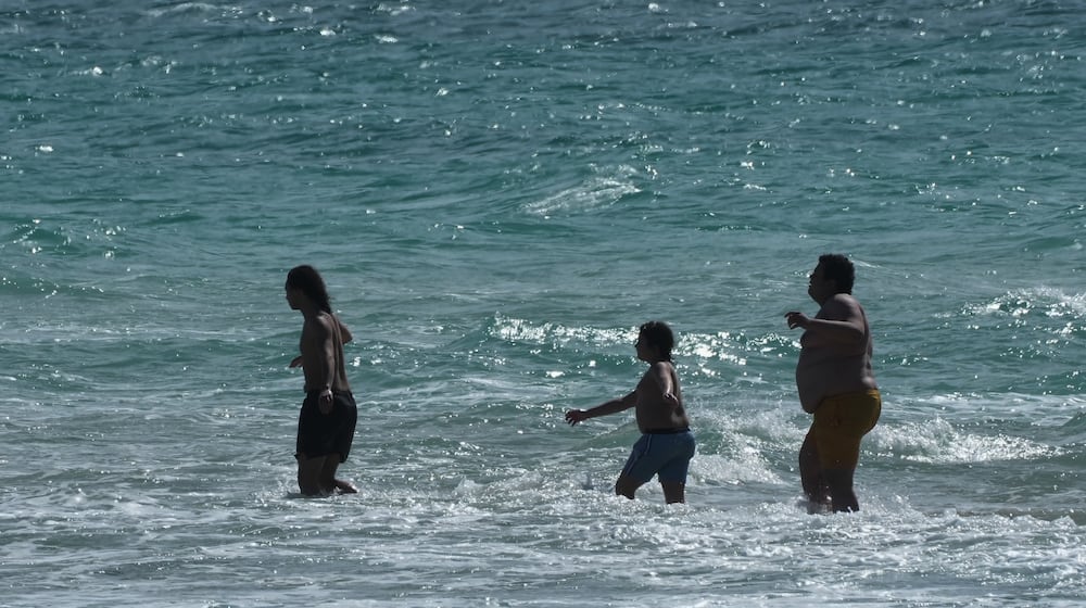 Beachgoers brave the cold ocean temperature while walking on a sandbar Thursday, Jan. 29, 2026, in Miami Beach, Fla. (AP Photo/Marta Lavandier)