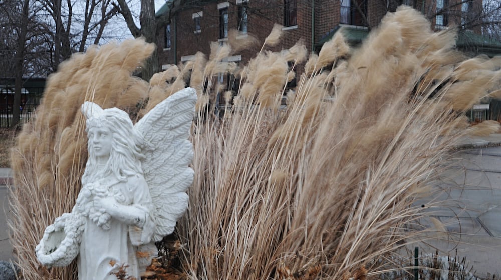 Winds blows on Clover Street in Dayton on Jan. 10, 2026. MARSHALL GORBY / STAFF