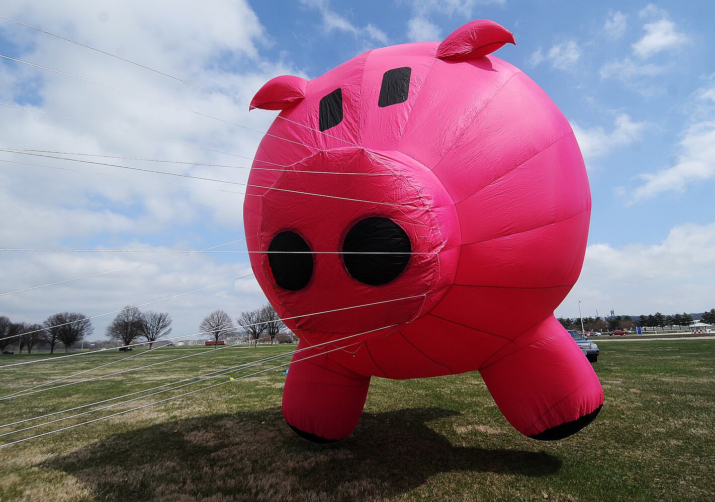 KITES