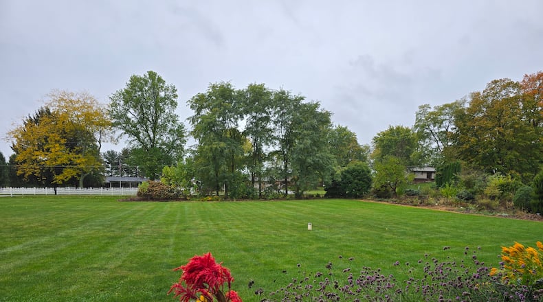 Lawns are an important part of a healthy ecosystem, hosting many arthropods that serve as food for birds, skippers, and more.