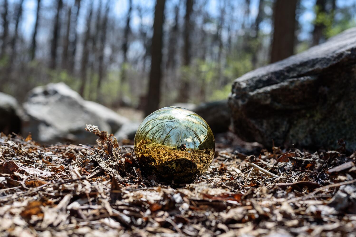 PHOTOS: Eggstravaganza at Lost Creek Reserve