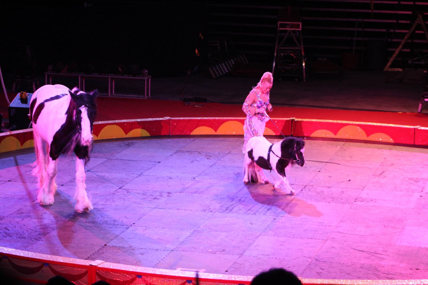 PHOTOS: Antioch Shrine Circus at UD Arena