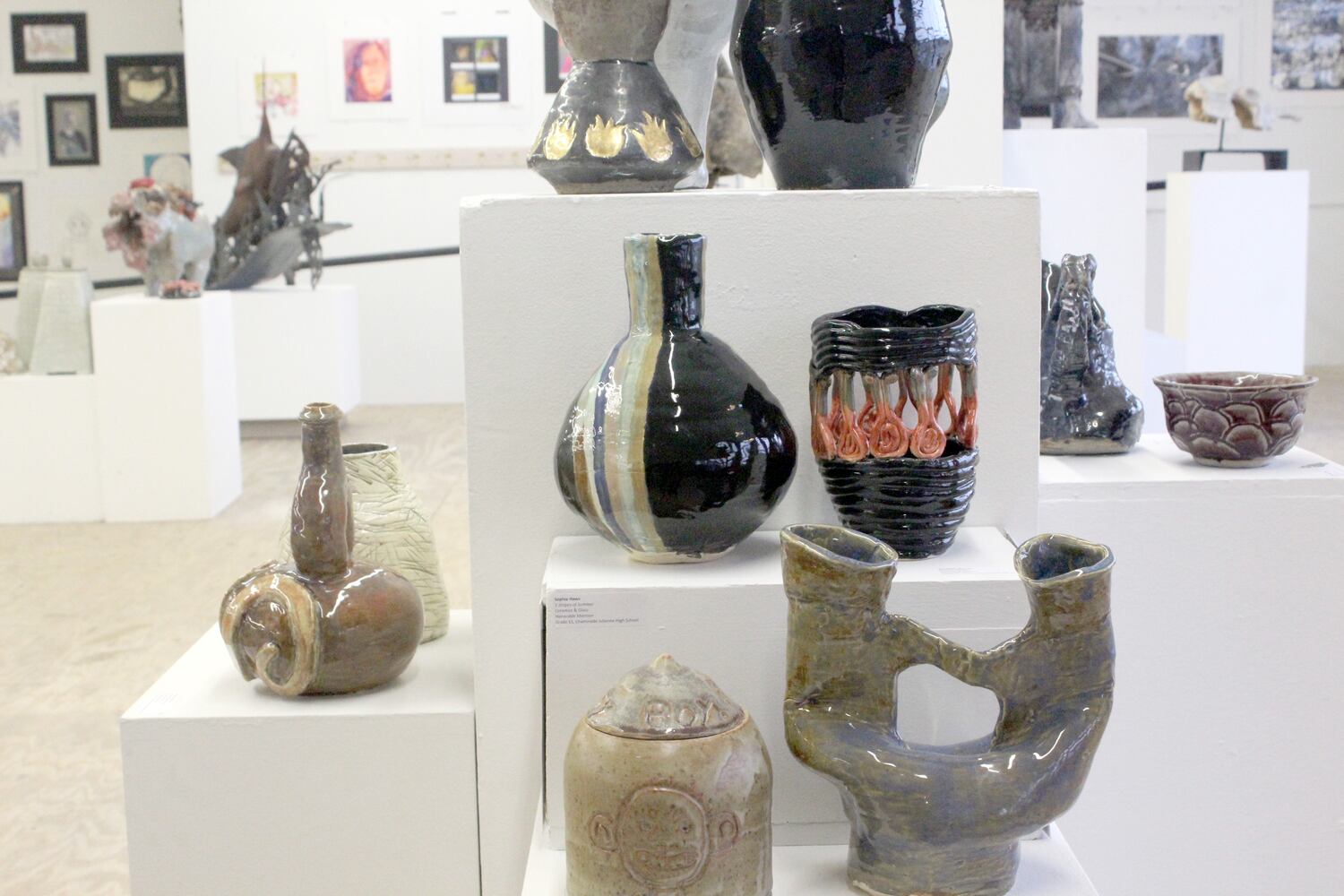 Photos:  432 works by Dayton area student shine in downtown Dayton