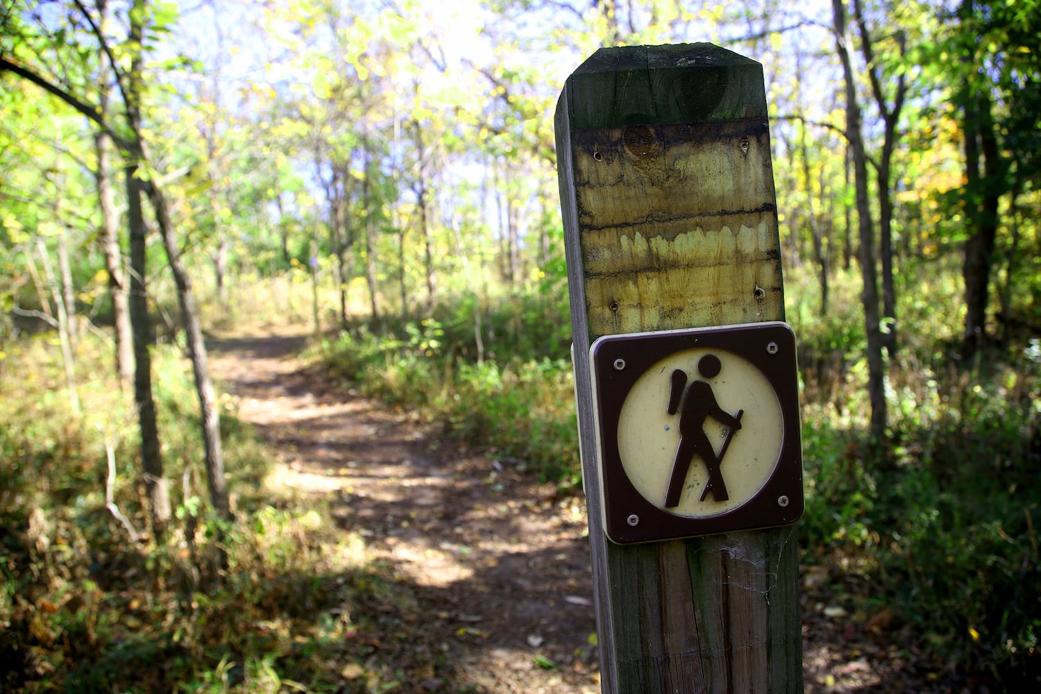 PHOTOS: New hiking trails at Germantown MetroPark explore a landscape of beauty