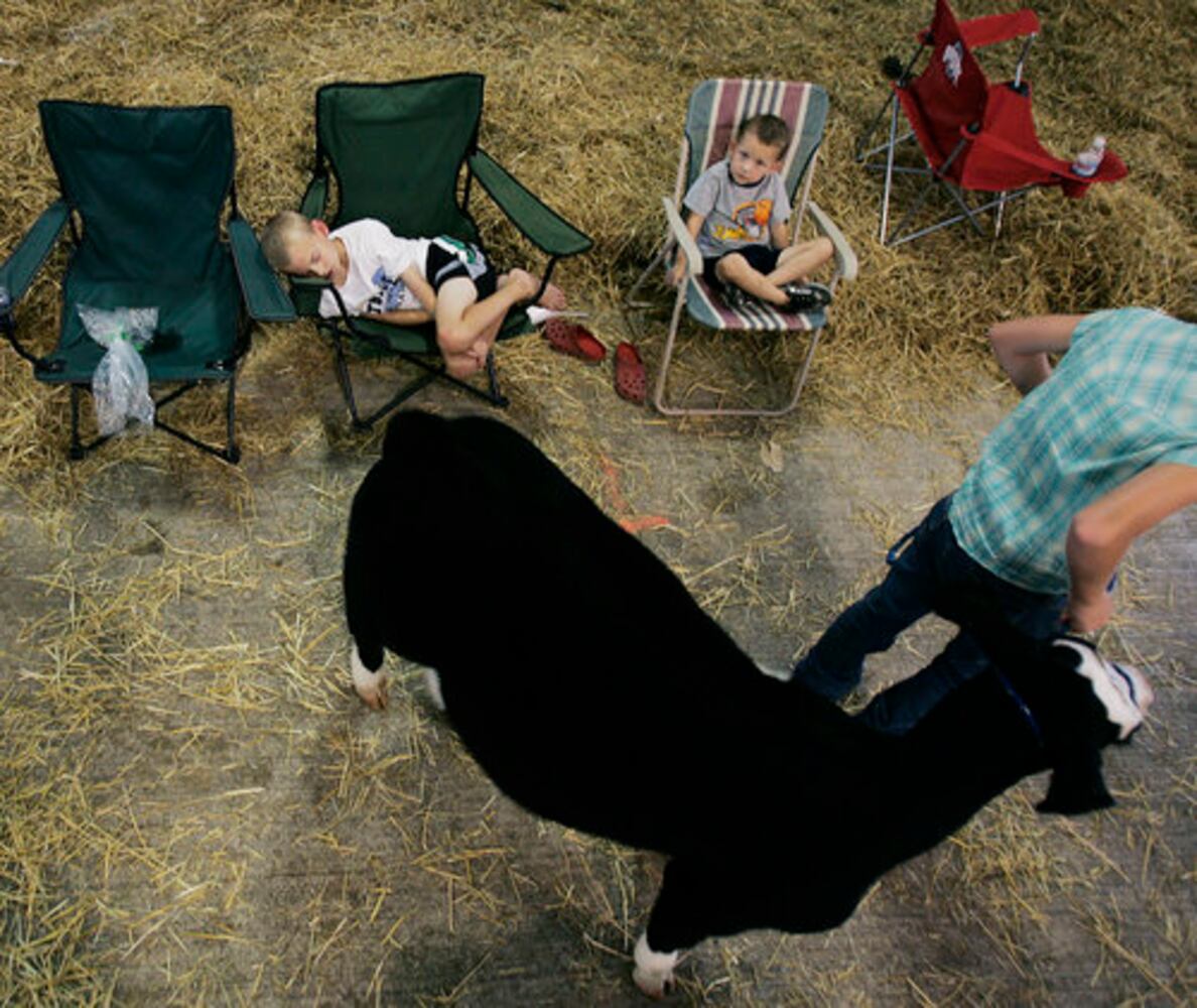 Greene County Fair