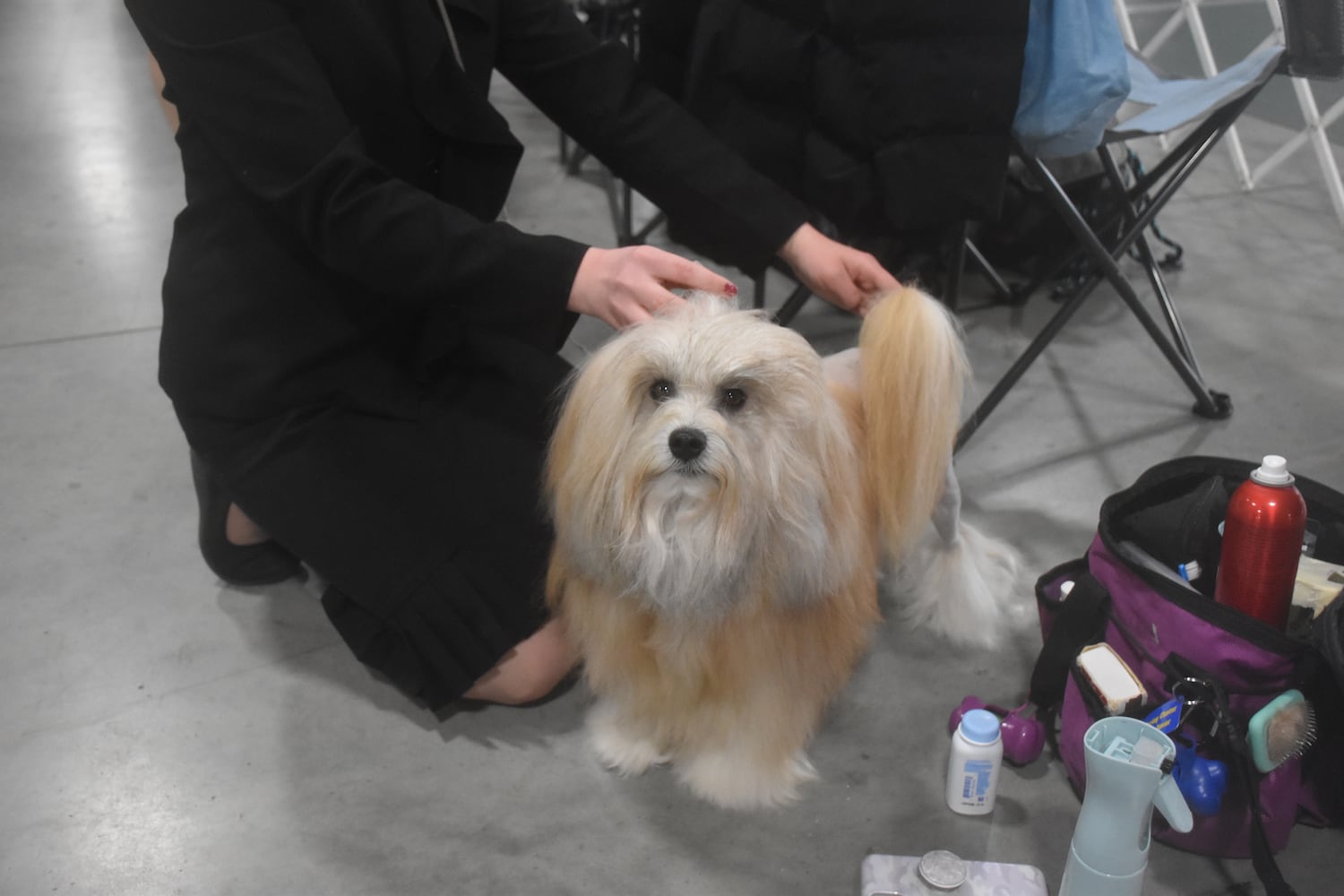 Fort St. Clair Kennel Club Dog Show