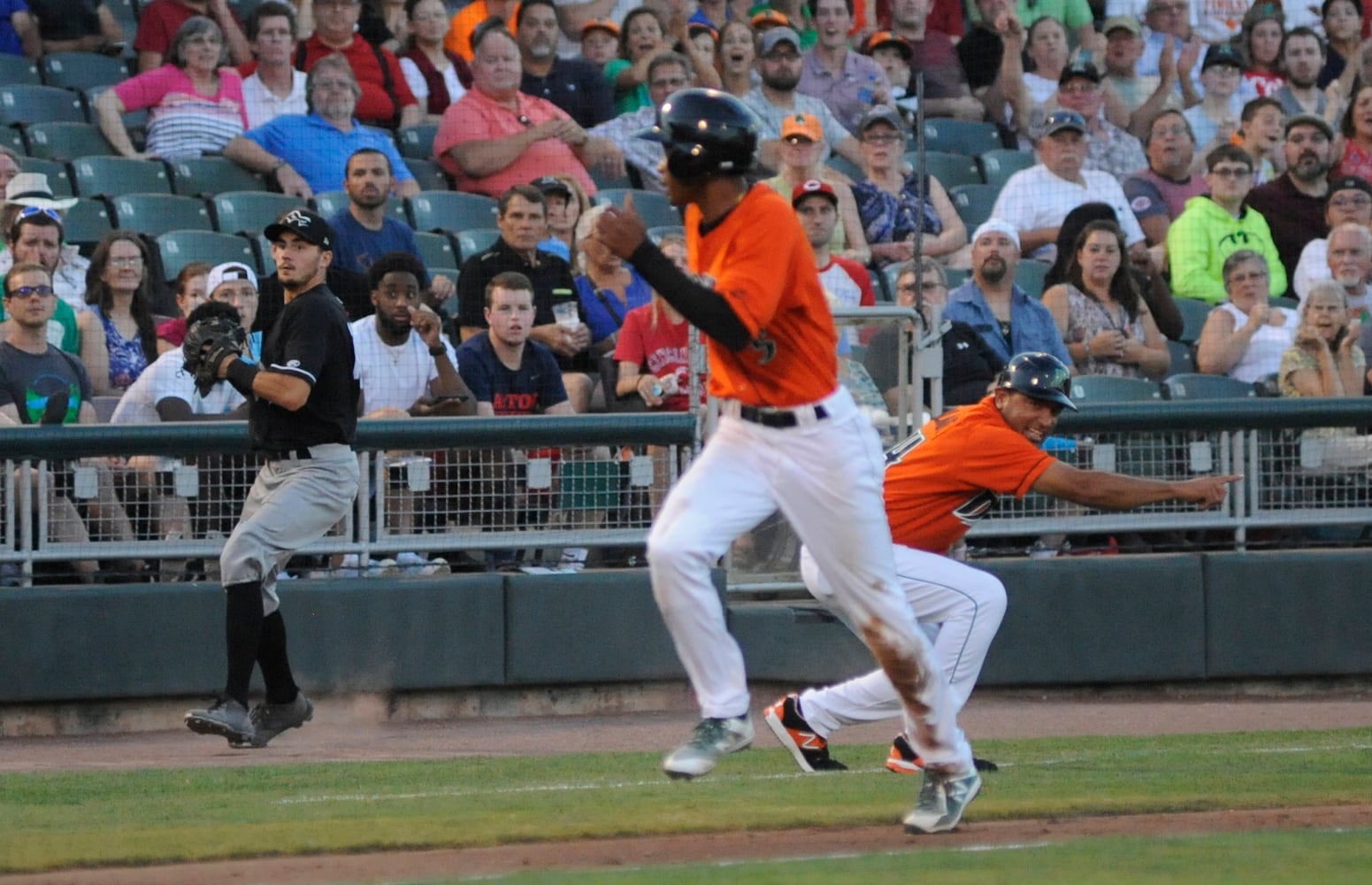 Dragons photo gallery