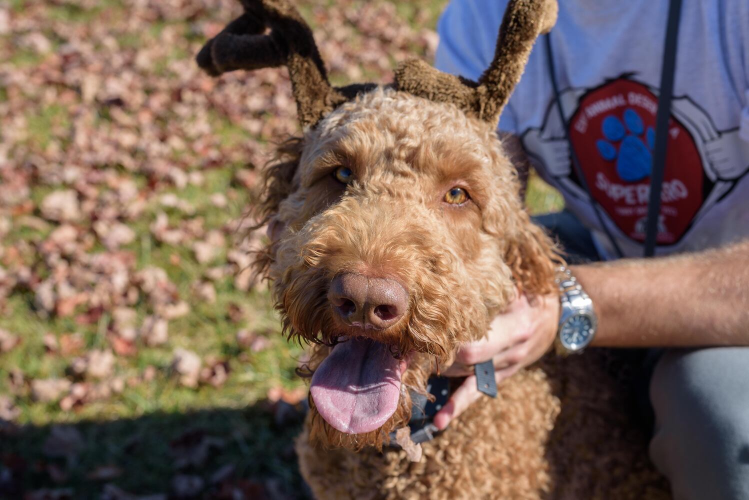 PHOTOS: Did we spot you and your dog at Wag-O-Ween at the Kettering Recreation Center?